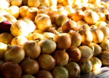 Ceasa-CE indica que a redução de preços em agosto é puxada por hortaliças fruto