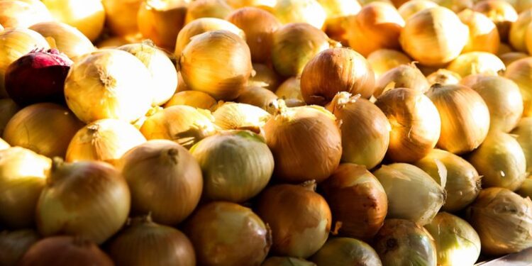 Ceasa-CE indica que a redução de preços em agosto é puxada por hortaliças fruto