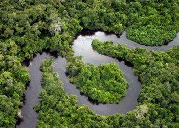 A flexibilização da Lei Antidesmatamento da UE frustra investimentos significativos no setor agropecuário brasileiro