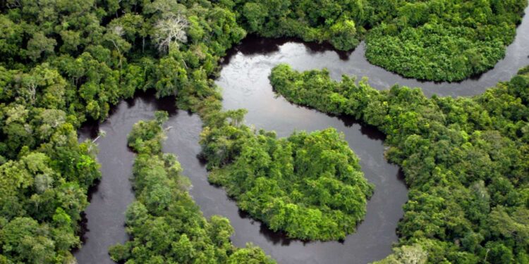 A flexibilização da Lei Antidesmatamento da UE frustra investimentos significativos no setor agropecuário brasileiro