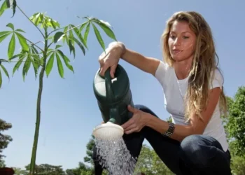 Gisele Bündchen é a primeira brasileira a integrar o Conselho do Prêmio Global de Sustentabilidade