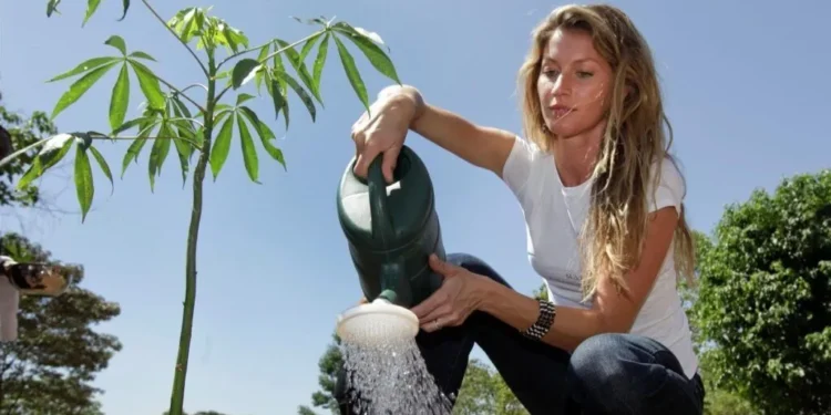 Gisele Bündchen é a primeira brasileira a integrar o Conselho do Prêmio Global de Sustentabilidade