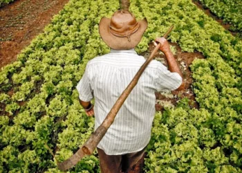 A agricultura familiar do Nordeste participa da maior feira de alimentos do mundo
