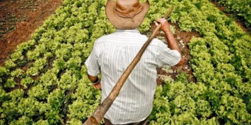 A agricultura familiar do Nordeste participa da maior feira de alimentos do mundo