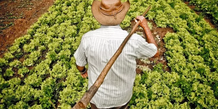 A agricultura familiar do Nordeste participa da maior feira de alimentos do mundo