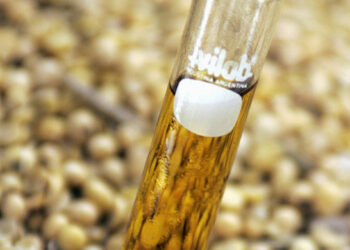 Após diminuir as importações de diesel em quase 40%, Indonésia confirma a implementação do biodiesel B50 para 2026