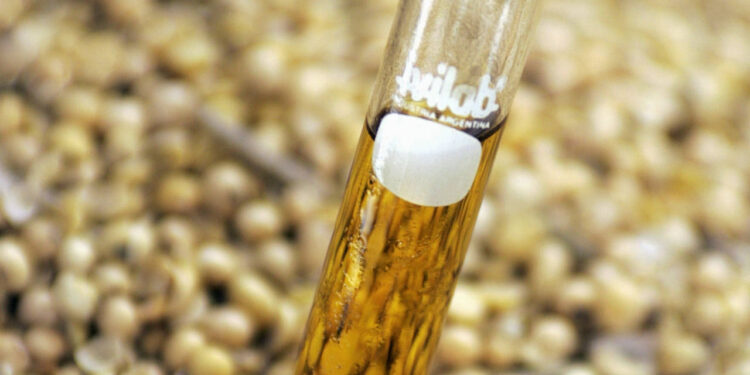 Após diminuir as importações de diesel em quase 40%, Indonésia confirma a implementação do biodiesel B50 para 2026