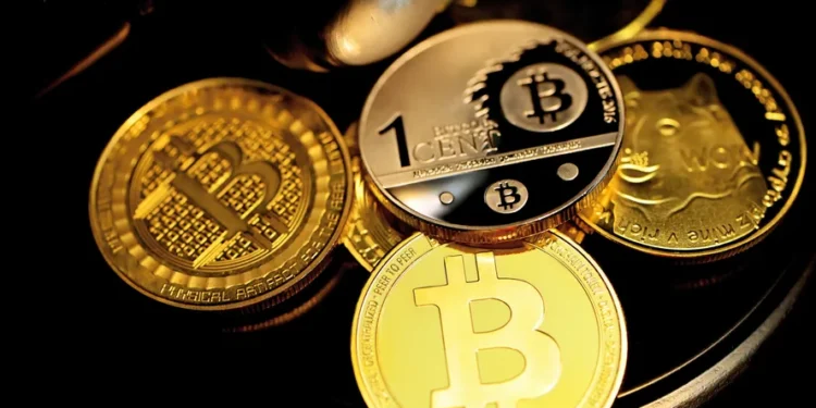 OranjeBTC pretende converter o cursinho Integraus em uma plataforma de ensino sobre bitcoin
