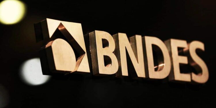 BNDES libera R$ 100 milhões para expansão de sistemas agroflorestais e captura de carbono