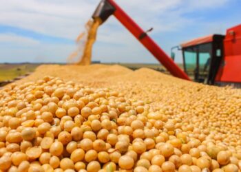A Coalizão Agro debaterá aportes financeiros para aumentar a produtividade e as exportações da Serra