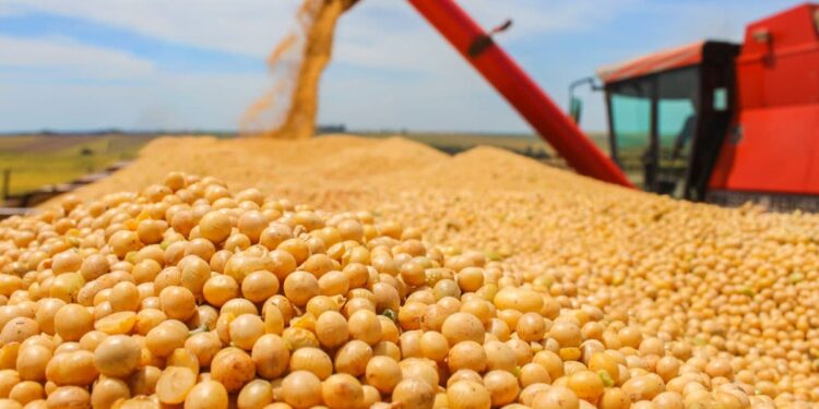 A Coalizão Agro debaterá aportes financeiros para aumentar a produtividade e as exportações da Serra