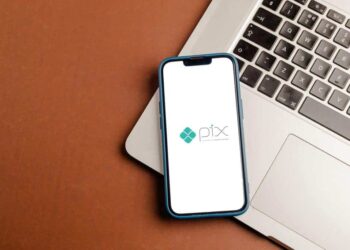 Pix tem aumento de 10% e ocupa a segunda posição entre os meios de pagamento mais utilizados na Black Friday