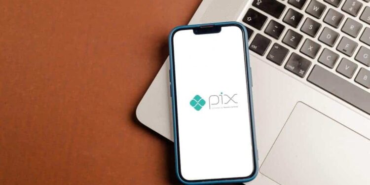 Pix tem aumento de 10% e ocupa a segunda posição entre os meios de pagamento mais utilizados na Black Friday