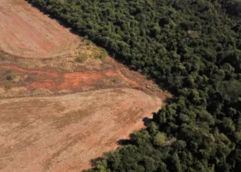 O crédito estruturado ganha destaque e supera outras categorias de FIIs de papéis, segundo a RBR