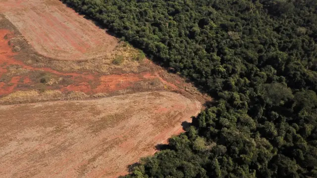 O crédito estruturado ganha destaque e supera outras categorias de FIIs de papéis, segundo a RBR