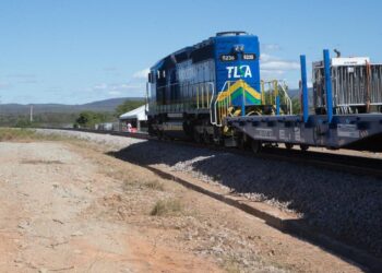 Qual é o efeito do atraso da Transnordestina na economia cearense, após o Ibama ter impedido a operação?