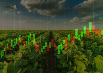 OIAG11 dispara: Fiagro apresenta lucro de R$ 1,04 milhão e rendimento de 17,4%