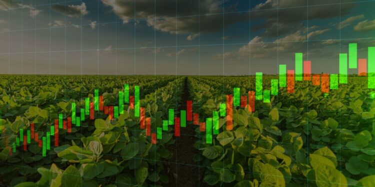 OIAG11 dispara: Fiagro apresenta lucro de R$ 1,04 milhão e rendimento de 17,4%