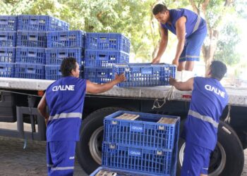Cialne figura entre as Melhores Empresas para Trabalhar no Ceará 2025, de acordo com o ranking da Great Place To Work
