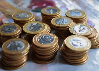 RBVA11 pagará dividendos mensais de 0,93%; veja o valor