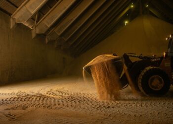 Uma empresa chinesa firmou acordos agrícolas no valor de US$ 5,2 bilhões