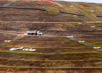 O programa Eco Invest Brasil finaliza 2025 com um total de R$ 14 bilhões em financiamentos