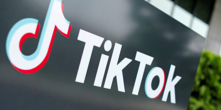 Sócio afirma que data center no Ceará com TikTok assegura exportação anual de R$ 16 bilhões