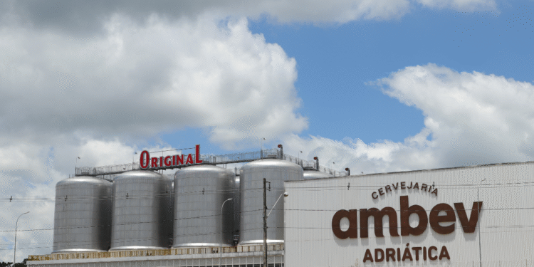 Ambev (ABEV3) divulga R$ 7,3 bilhões adicionais em dividendos, porém decepciona o mercado; saiba o motivo!