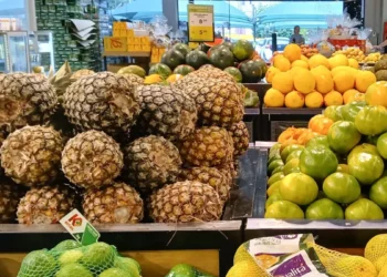 Quais ensinamentos o Brasil pode extrair do mercado dinamarquês de orgânicos, avaliado em R$ 13 bilhões?