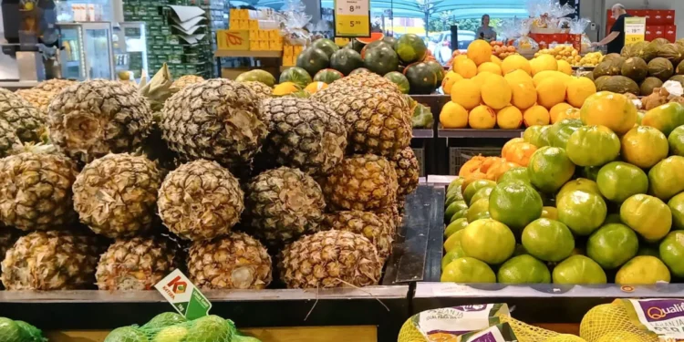 Quais ensinamentos o Brasil pode extrair do mercado dinamarquês de orgânicos, avaliado em R$ 13 bilhões?
