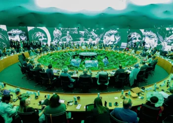 Negociações políticas na COP30 e o que vem a seguir para o Brasil