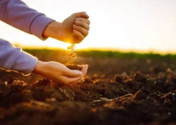 SNAG11 atinge recorde histórico com aumento nas exportações do agronegócio