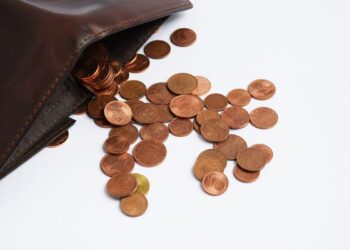 O SNCI11 apresentou um resultado de R$ 4,89 milhões. Confira os investimentos do FII