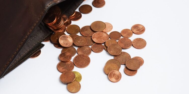 O SNCI11 apresentou um resultado de R$ 4,89 milhões. Confira os investimentos do FII