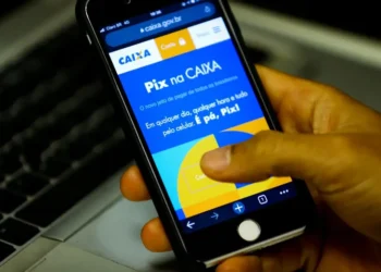 Pix atinge recorde e ultrapassa 313 milhões de transações em um único dia