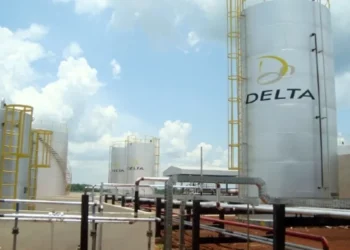 Grupo Delta Energia arrecada R$ 200 milhões em debêntures para atualizar termelétrica
