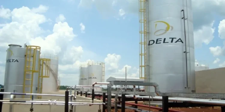 Grupo Delta Energia arrecada R$ 200 milhões em debêntures para atualizar termelétrica