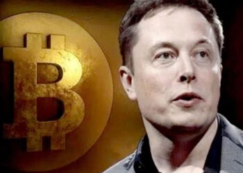 O X de Elon Musk causa ‘Smart Cashtags’ cientes de criptomoedas, somente um dia depois da resposta desfavorável da comunidade