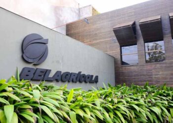 Belagrícola fecha parceria para receber grãos da Coamo e Lar no Paraná