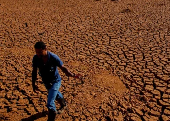 A Instabilidade Silenciosa dos Modelos Econômicos Perante a Crise Climática