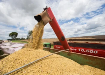Conflito no Irã eleva preços dos grãos, mas pressiona o mercado de carnes, afirma BB Investimentos; uma ação pode valorizar 82,2%