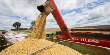 Conflito no Irã eleva preços dos grãos, mas pressiona o mercado de carnes, afirma BB Investimentos; uma ação pode valorizar 82,2%