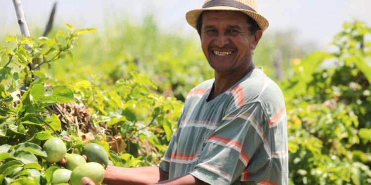 A força dos pequenos: a tecnologia e a sustentabilidade modernizam a agricultura no Ceará