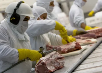 MBRF (MBRF3): Motivo para o aumento de 14% nas ações da empresa nesta última segunda-feira (23)