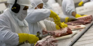 MBRF (MBRF3): Motivo para o aumento de 14% nas ações da empresa nesta última segunda-feira (23)