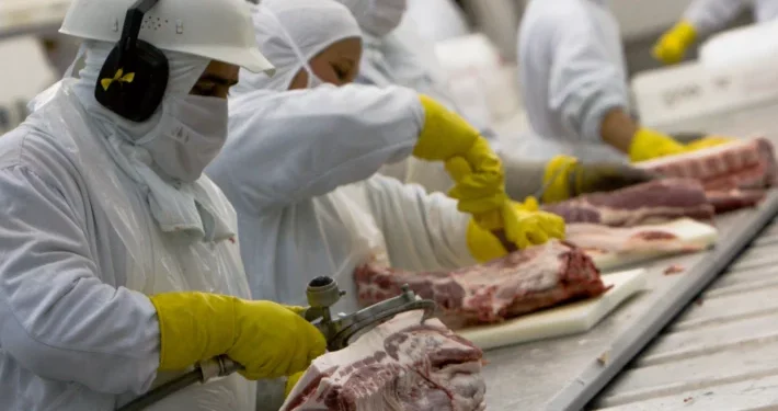 MBRF (MBRF3): Motivo para o aumento de 14% nas ações da empresa nesta última segunda-feira (23)