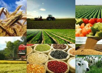 As principais iniciativas da CNA para o agronegócio brasileiro