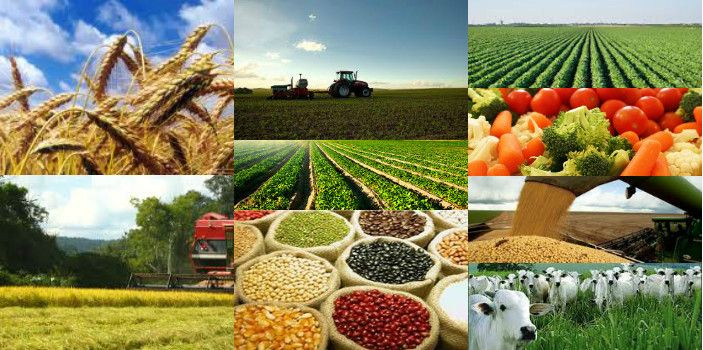 As principais iniciativas da CNA para o agronegócio brasileiro