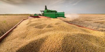 O conflito no Irã afeta o fornecimento de fertilizantes, com impactos mais significativos nos EUA e na Europa do que no Brasil