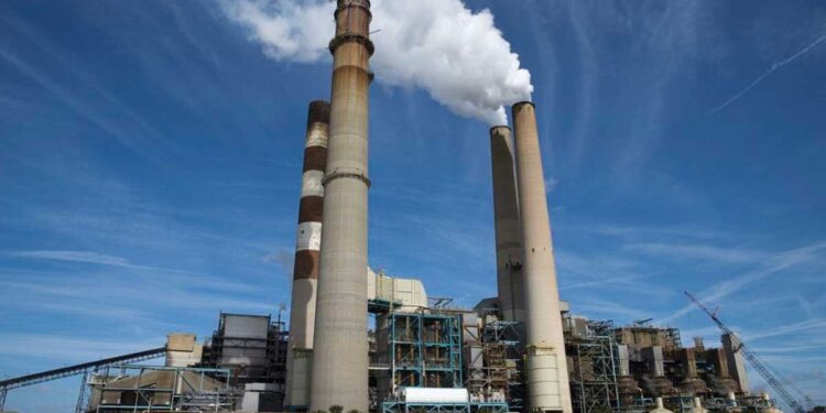 Hummingbirds capta R$ 300 milhões para integrar recursos, iniciativas de carbono e comunidades